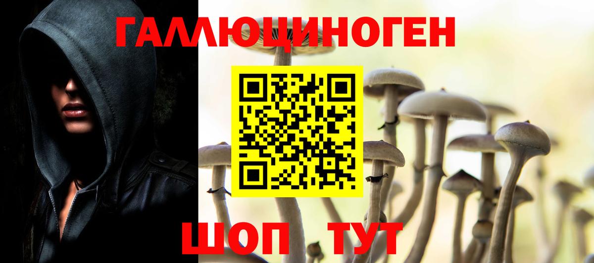 Псилоцибиновые грибы прущие грибы Полевской
